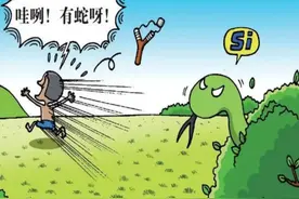 “烂肉王”烙铁头蛇有多毒？男子用时30秒自救，晚一分钟差点截肢图片