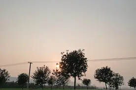 西晋王朝的领衔女主角--贾南风图片