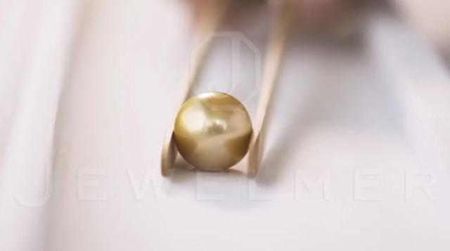 「干货」南洋金珠专题直播精彩集锦，专家教你怎么看南洋珍珠
