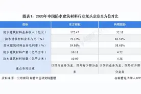 干货！2021年中国防水建筑材料行业龙头企业分析——东方雨虹图片