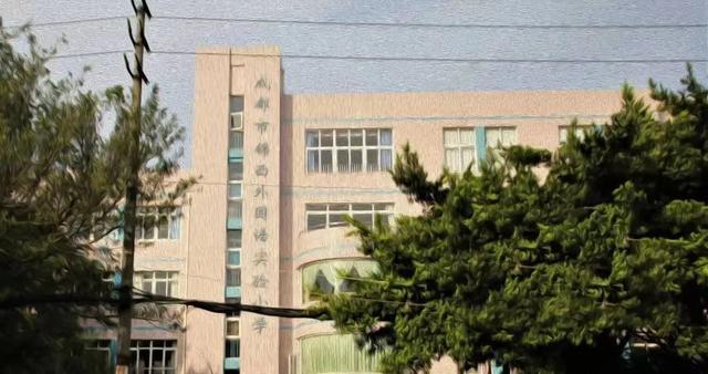 除了“五朵金花”，成都各个区还有哪些公办小学值得考察