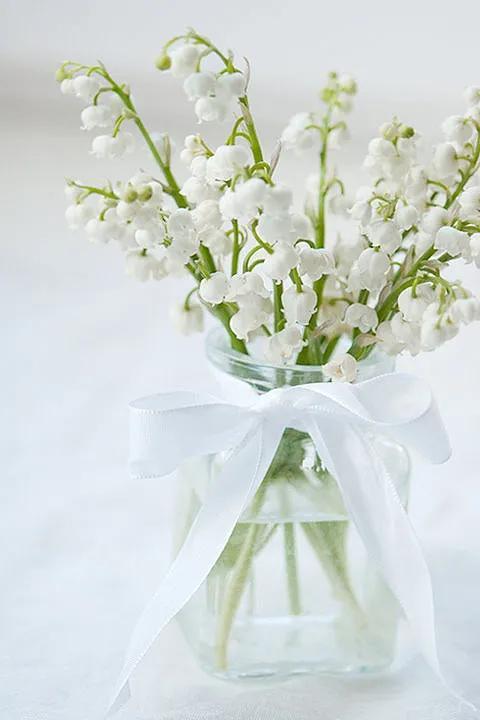 唯美铃兰花手机壁纸