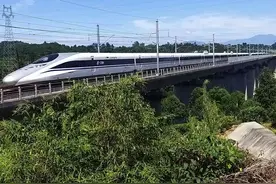 CRH2C-2150，一列彻头彻尾的假老鼠图片