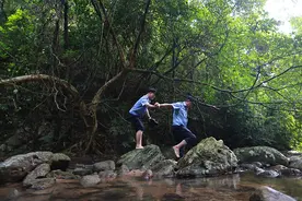 在海南热带雨林中执勤，是种什么样的体验？图片