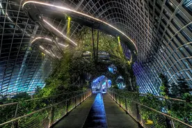 新加坡移民和绿卡的区别，读完就懂了图片