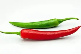 湖南人告诉四川人：辣椒叫“海椒”图片