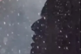 老友说丨如何看待“AI孙燕姿”爆火？图片