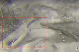 辽宁老人自称9岁见过“真龙”，怕自己去世提前上交“五块龙骨”图片