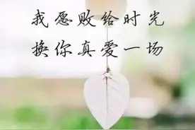 若无相欠，怎会相见图片