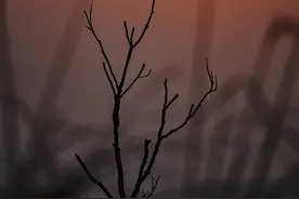 惠东--观音山上好风光图片