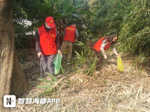 �߽���ɽ | ��¥��ɽ������չ�������׷澫������