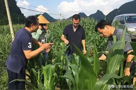 我，湖北人，在非洲刚果金种千亩良田，娶非洲妻子，生了俩混血儿图片