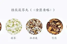 浅谈千古活血化淤第一方之桂枝茯苓丸图片