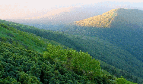 凤凰山森林公园攻略(凤凰山五常景区攻略)