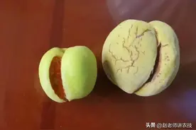 桃后期裂果怎么办？资深种植户分享2个管理技巧，看完太有道理了图片