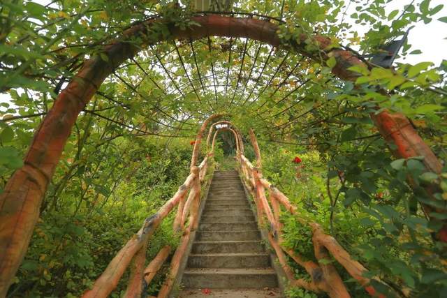 四川省民生研究会新媒体中心-官网