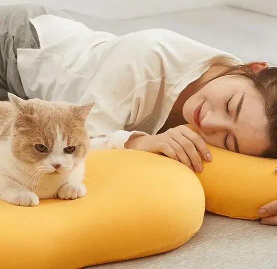 ����ʵ������Ӫ���İ�