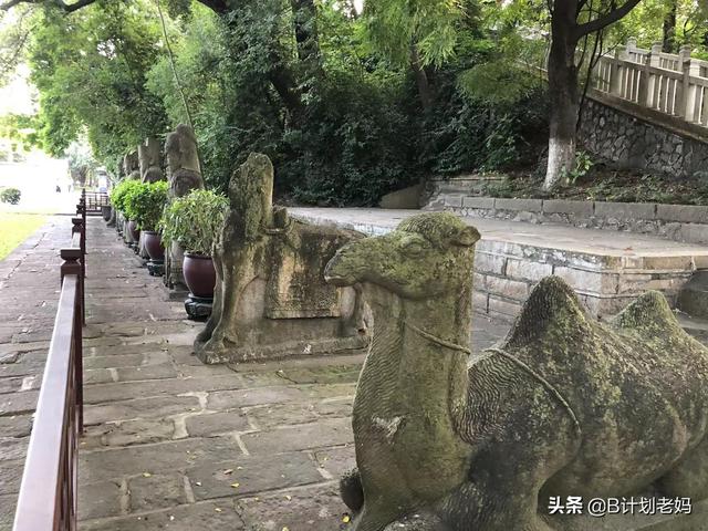 广州南海神庙：千年海神庙，建筑时光机，海上丝绸之路，遛娃绝佳