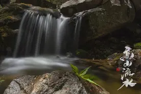《高山流水》音乐赏析图片