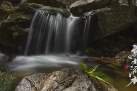 《高山流水》音乐赏析图片