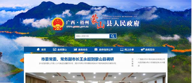 持续创新，广西政府网站焕然一新