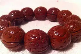 文玩桃核的种类图片