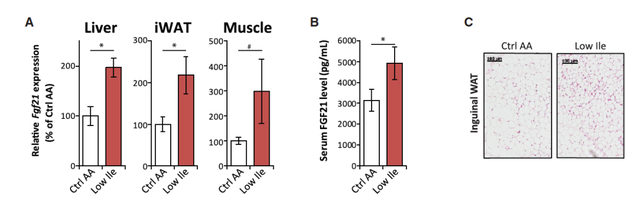 鏀摼姘ㄥ熀閰镐綔涓鸿€佸勾钀ュ吇鍏抽敭鍏辫瘑锛岀珶琚編涓撳鍚﹀畾锛熻惀鍏诲笀鏉ヨВ璇? onerror=