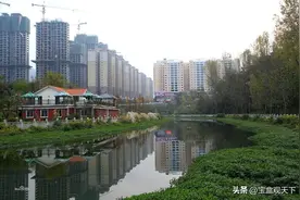 2022年1-10月毕节各地财政收入表现，金沙县和织金县表现出色！图片
