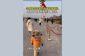 萌娃收获站岗武警回礼图片