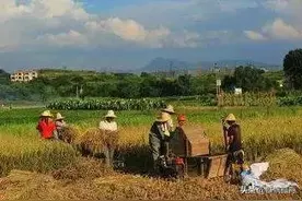 空调续命的新时代回忆苦累农村往事，曾经如同炼狱般双抢不堪回首图片