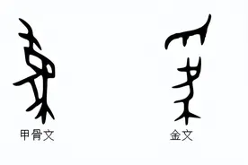 说文解字：为图片
