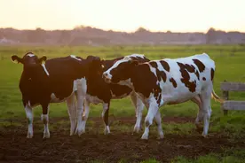 奶粉成分表太复杂看不懂？教你一秒看懂图片