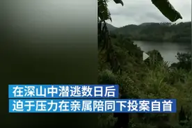 回顾 海南一大妈拒付3万彩礼,儿媳打胎提分手,最终被儿子活活打死图片