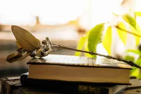 经常发这些朋友圈的人，多半层次不高，不要与之深交图片