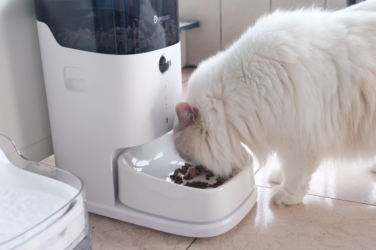 远程视频,科学投喂,宠咕咕宠物智能喂食器初体验