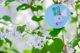 春日来信--爱的分贝主题分享会暨新战略发布会召开图片