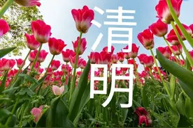 2022年景好不好？农谚“收不收，就看清明天气”，有啥说法？图片