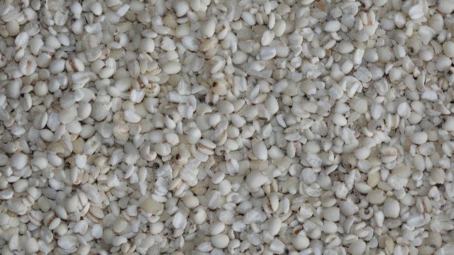 「品牌展播」中国地理标志农产品品牌展播（福建三明篇-上）