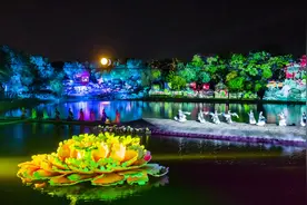 全新升级！曹州牡丹园开启“夜游模式”，推行“景区一票通”图片