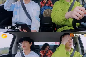 明星缺综艺感有多尴尬？《向往》没人接话，《王牌》纯靠沈腾贾玲图片