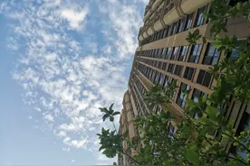 二阳、三阳的症状是什么图片
