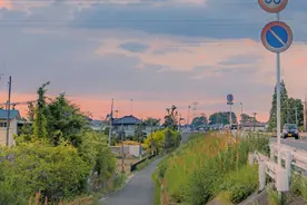 不招人喜欢的星座，大事小事都要秀，盲目自信惹人烦却还不自知图片