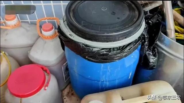 农村人在城市阳台上种菜，可自制3种液体肥料，肥效非常明显