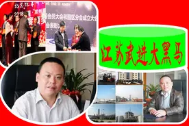 江苏武进“大黑马”：24岁当厂长，掌控中国民企500强，年入243亿图片