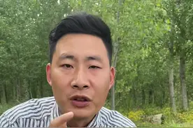 黄花蒿也叫青蒿、臭蒿。艾草别名大叶艾、蕲艾。紫茎小叶艾也叫水蒿。小叶艾蒿也叫野艾蒿。#植物科普 #黄花蒿 #青蒿 #艾蒿 #小叶艾 @抖音自然 @抖音短视频视频封面