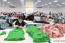 “返乡办服装厂是明智之举”！图片