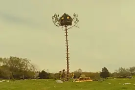 晚点独家丨考拉被收购后的三年：团队收缩，产品、技术不再升级图片