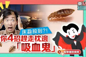 床虱杀到？ 教你4招赶走枕边“吸血鬼”，让床虱无处遁形！图片