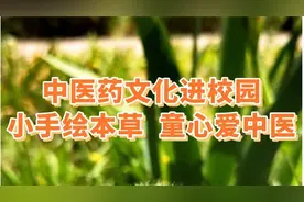 中医药文化进校园 | 小手绘本草 同心爱中医图片