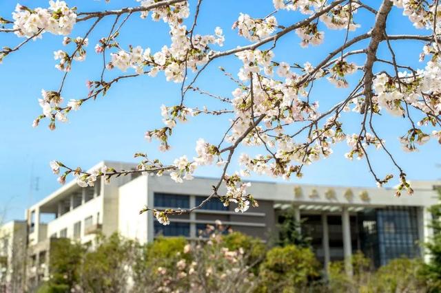 最新招聘信息，涉及这些高校、开发区→